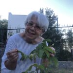 Zerrin Sümer Instagram – Bahçemizden , geçen sezon ektik bu sezon ilk ürününü verdi ceviz . İlk senesi bir tane ürün verirmiş . İkinci sene birkaç tane sonrasında çok olurmuş. Kısmet olur  inşallah 🙏 🤚hoşçakalın .