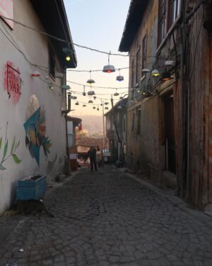 Zeynep Bostancı Instagram - Ankara