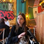 Zeynep Bostancı Instagram - kedi içeriği