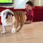 Zlatan Ibrahimović Instagram - Mr UK