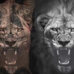 Zlatan Ibrahimović Instagram - Lions don't compare themselves to humans