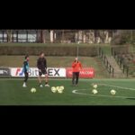 Zlatan Ibrahimović Instagram - @florenzi Va bene ? @acmilan