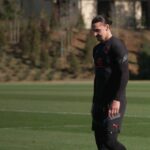 Zlatan Ibrahimović Instagram - DNA