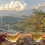 Zoya Afroz Instagram - Just two princesses on a picnic 🧺☕️💖⛰️🫶🏼✨ Kangra valley