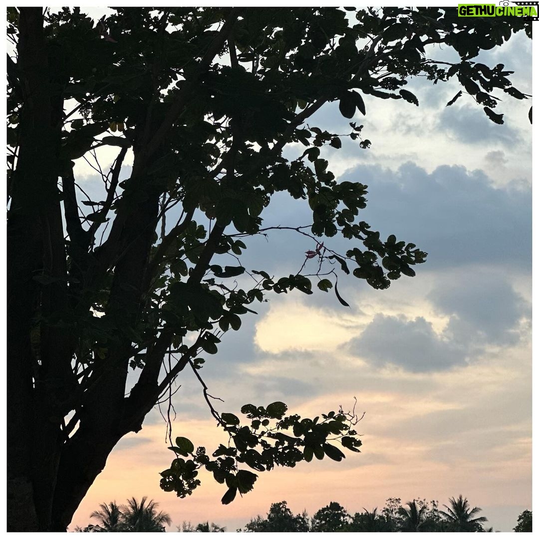 Zoya Akhtar Instagram - 1st January 2024 #nofilter