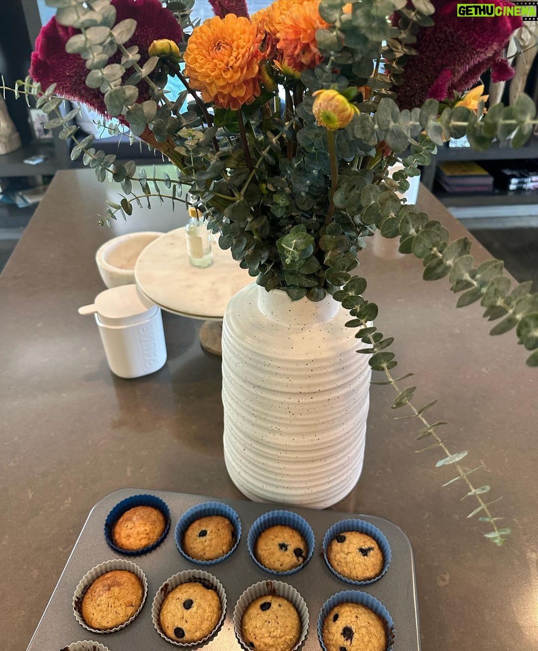 Zulay Henao Instagram - On Mondays we hug trees, bake muffins and do the Lords work! PSA📣 PSA - if you’ve been suffering from seasonal allergies like me and want to rip your face, especially your eyes out, last slide, you’re welcome. @modernmuze