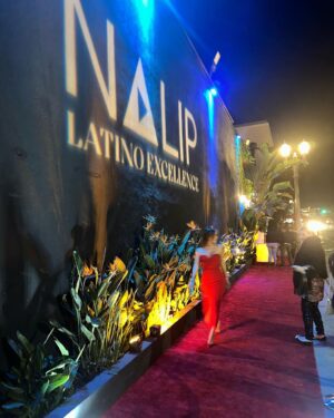 Zulay Henao Instagram - Had an amazing time celebrating Latino excellence at @NALIP_Org’s End of Year Celebration! Thank you NALIP for bringing us together to celebrate our accomplishments 🥂🎉 #CelebrateLatinoExcellence #NALIP
#beyourownmuze @modernmuze

Styled by @simonasacchitella 
Makeup by @abramovicm