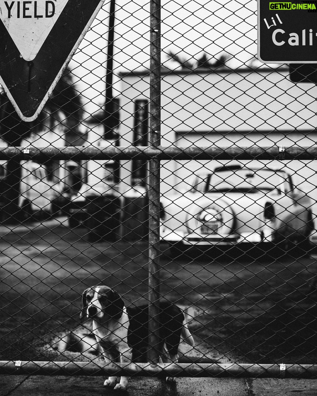 cherry chill will. Instagram - @deepvalley_garage photographed by cherry chill will.