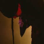 cherry chill will. Instagram - @ralph_ganesh "DAVANTA" at Spotify O-East photographed by cherry chill will. #ralph #davanta #cherrychillwill Tokyo, Japan