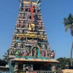 sathya sai krishnan Instagram - 👑siruvaapuri muruganuku arogaraa🙏 #muruga #arogara #siruvapurimurugantemple #siruvapuri #ommuruga #insta #instadaily #insta #instamood Siruvapuri Balamurgan Temple