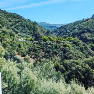 Aaron Crow Instagram - Amazing day in beautiful Portugal.  A slice of paradise.  I need to move here 🤔😅😎 #itsaaroncrow #exploring #friendship #portugal #love #failtoplanplantofail