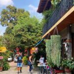 Aaron Crow Instagram – What an amazing trip.  Thank you Claudia and Kevin for the invite.  #tepoztlan #goodtimes #hadtocarrymarty #theillusionists #itsaaroncrow #theillusionistsmx pictures @claudiajames_wb