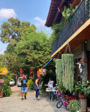 Aaron Crow Instagram - What an amazing trip.  Thank you Claudia and Kevin for the invite.  #tepoztlan #goodtimes #hadtocarrymarty #theillusionists #itsaaroncrow #theillusionistsmx pictures @claudiajames_wb