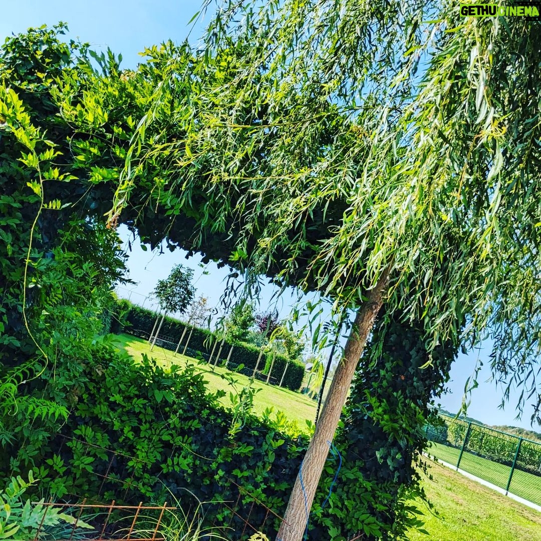 Aaron Crow Instagram - Enjoying summer @home #goodtimes #itsaaroncrow #aaroncrow