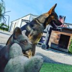Aaron Crow Instagram - Enjoying summer @home #goodtimes #itsaaroncrow #aaroncrow
