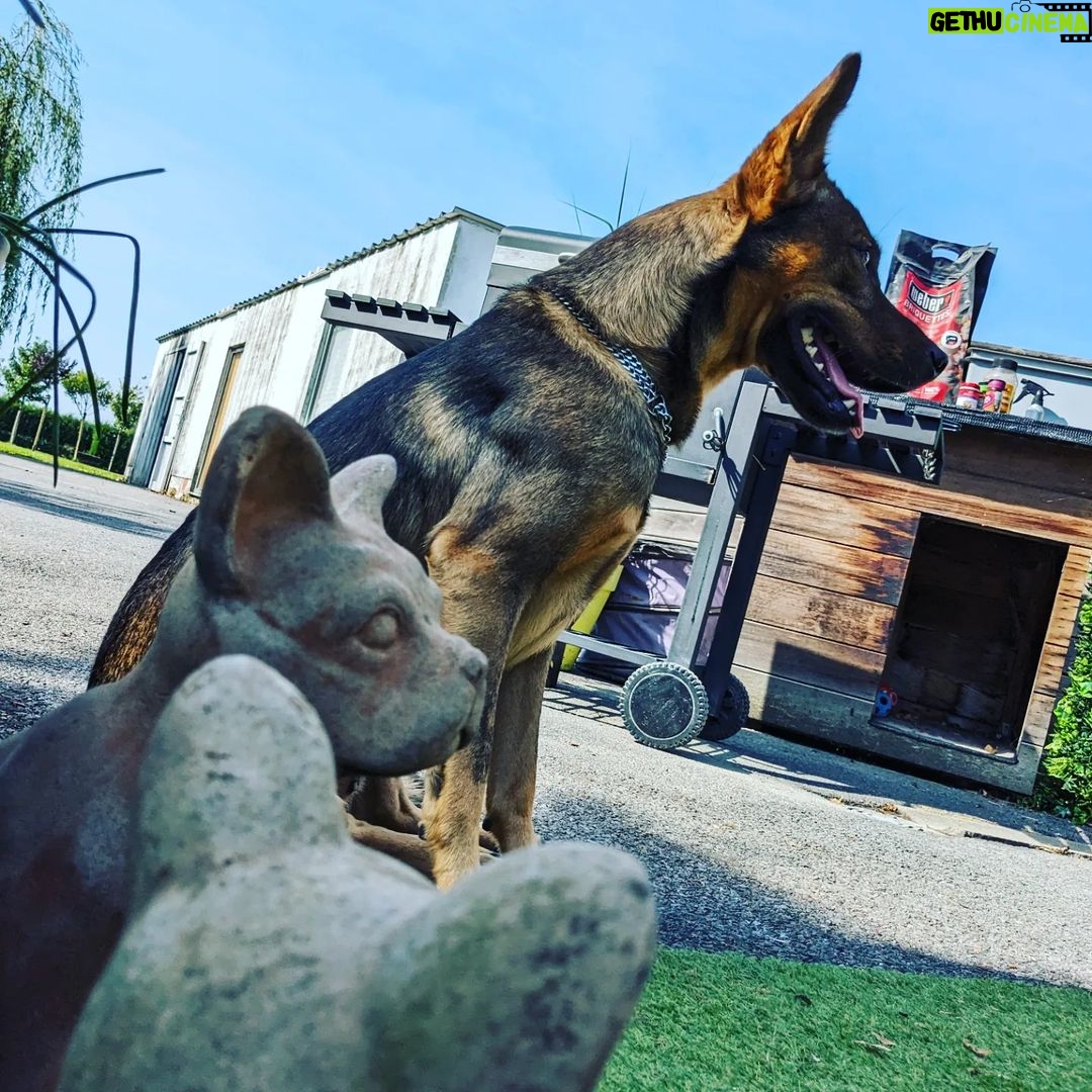 Aaron Crow Instagram - Enjoying summer @home #goodtimes #itsaaroncrow #aaroncrow