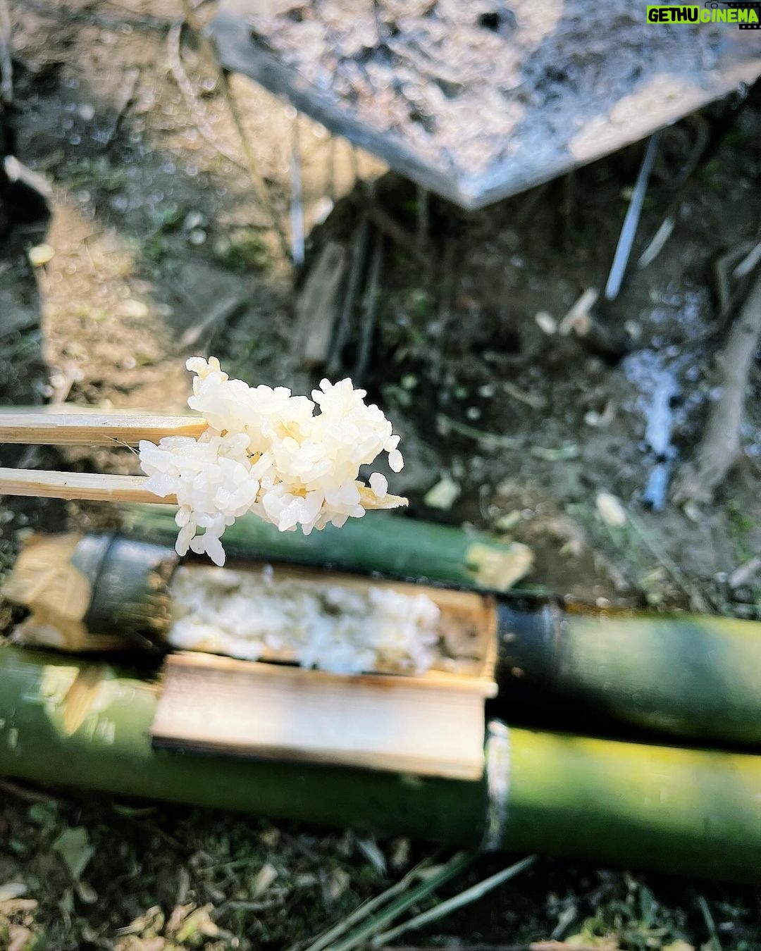 Abareru-kun Instagram - 竹はんごう飯🍚竹だけによく炊けました‼︎🎋