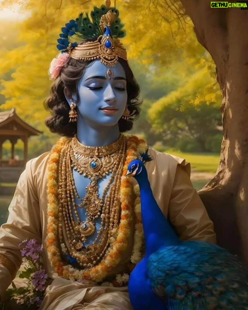 Abhishek Bachchan - 104.7K Likes - 🙏🏽जय श्री कृष्ण।