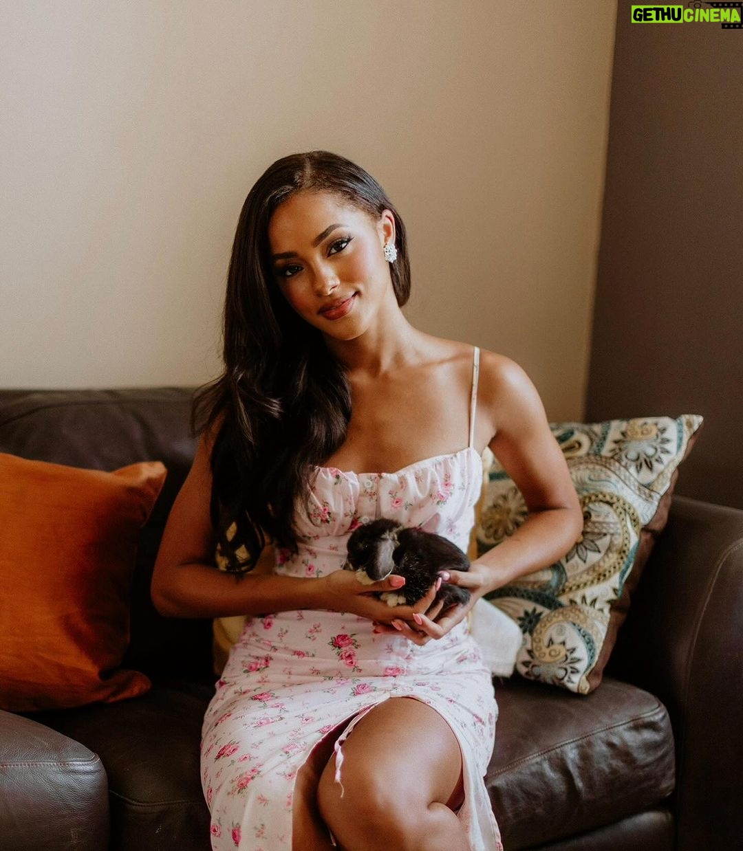 Aché Abrahams - 1.1K Likes - bunny love 🐰🩷🥕
-
@raj.vphotography
