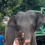 Aché Abrahams Instagram – I spent 2 hours buying fruits and looking for Ganga (this beautiful elephant) through the city just to feed her and give her some love. She stole my heart 🥺. For anyone wondering like I was, the chains were because she’s moved from temple to temple for the religious ceremonies and it’s part of how they transported her. She didn’t have them on the first day I saw her 😔. Even more reason to give her some love