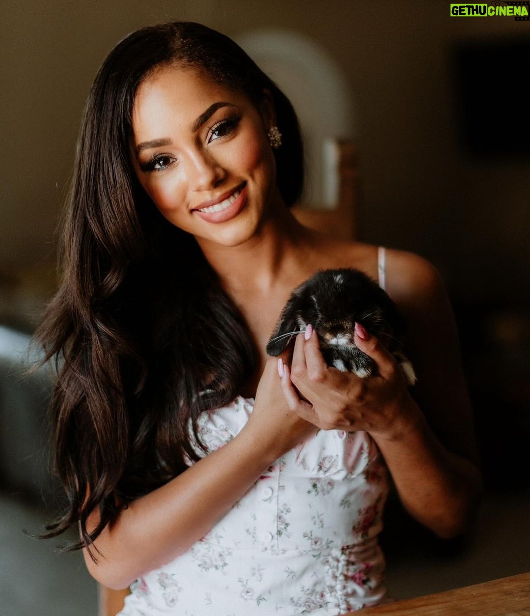 Aché Abrahams - 1.1K Likes - bunny love 🐰🩷🥕
-
@raj.vphotography
