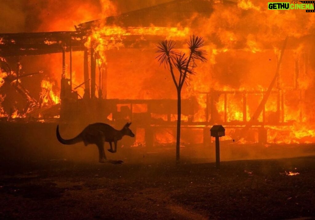 Adam Levine Instagram - #repost @gretathunberg・・・ Australia is on fire. And the summer there has only just begun. 2019 was a year of record heat and record drought. Today the temperature outside Sydney was 48,9°C. 500 million (!!) animals are estimated dead because of the bushfires. Over 20 people have died and thousands of homes have burned to ground. The fires have spewed 2/3 of the nations national annual CO2 emissions, according to the Sydney Morning Herald. The smoke has covered glaciers in distant New Zealand (!) making them warm and melt faster because of the albedo effect. And yet. All of this still has not resulted in any political action. Because we still fail to make the connection between the climate crisis and increased extreme weather events and nature disasters like the #AustraliaFires That has to change. And it has to change now. My thoughts are with the people of Australia and those affected by these devastating fires. Link in bio to donate