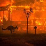 Adam Levine Instagram – #repost @gretathunberg・・・ Australia is on fire. And the summer there has only just begun. 2019 was a year of record heat and record drought. Today the temperature outside Sydney was 48,9°C. 500 million (!!) animals are estimated dead because of the bushfires. Over 20 people have died and thousands of homes have burned to ground. The fires have spewed 2/3 of the nations national annual CO2 emissions, according to the Sydney Morning Herald. The smoke has covered glaciers in distant New Zealand (!) making them warm and melt faster because of the albedo effect.

And yet. All of this still has not resulted in any political action. Because we still fail to make the connection between the climate crisis and increased extreme weather events and nature disasters like the #AustraliaFires 
That has to change. And it has to change now. My thoughts are with the people of Australia and those affected by these devastating fires.

Link in bio to donate