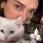 Aditi Rao Hydari Instagram - 👀 Iggy and Ollie #KittykatCuddles = prep for shoot