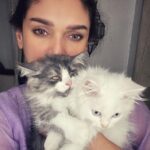 Aditi Rao Hydari Instagram - Iggy & Ollie squishes for the win ❤️❤️❤️❤️❤️❤️