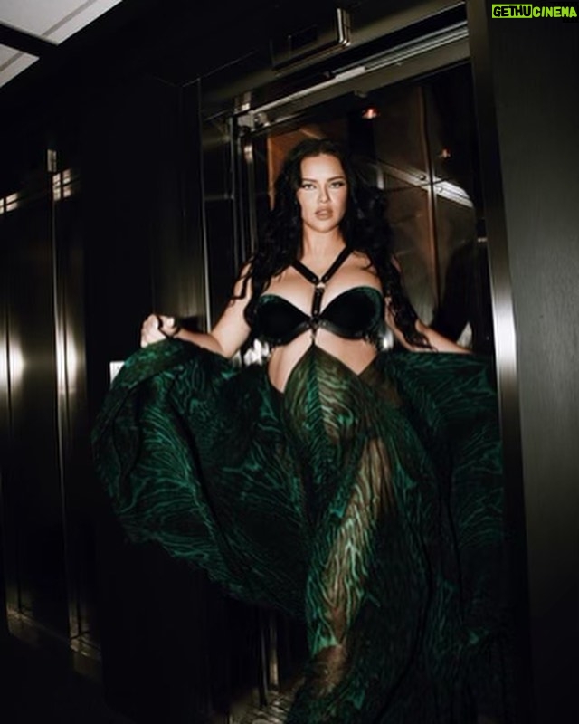 Adriana Lima Instagram - 💫 Last night @Chopard #ChopardLovesCinema #CannesFilmFestival Jewelry: @chopard Dress: @roberto_cavalli Shoes: @larroude Hair: @marcorsatelli Make Up: @PatrickTa Styling: @erinwalsh photo @frederic.monceau