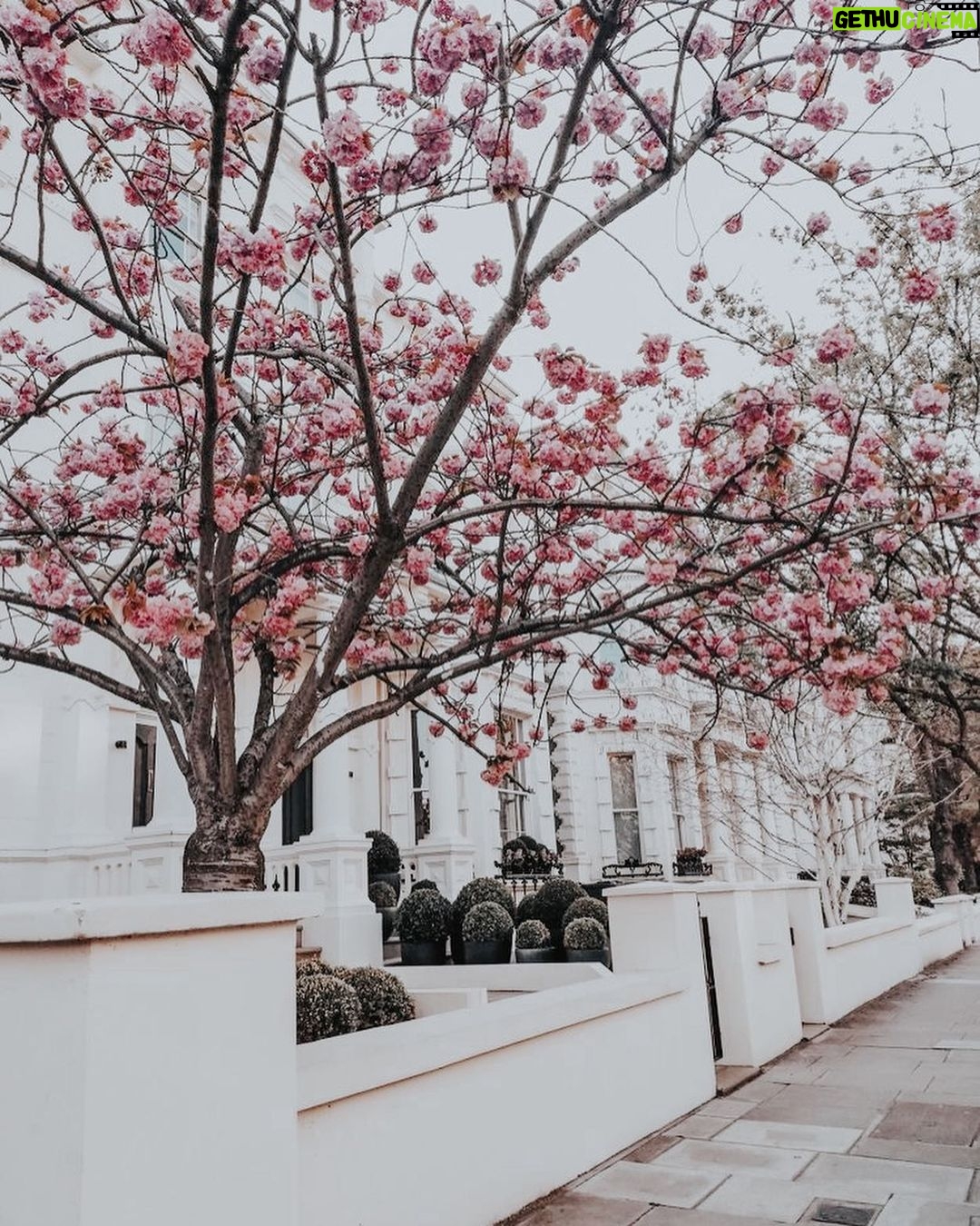 Afra Saraçoğlu Instagram - I miss being there already ❤️ London, Unιted Kingdom