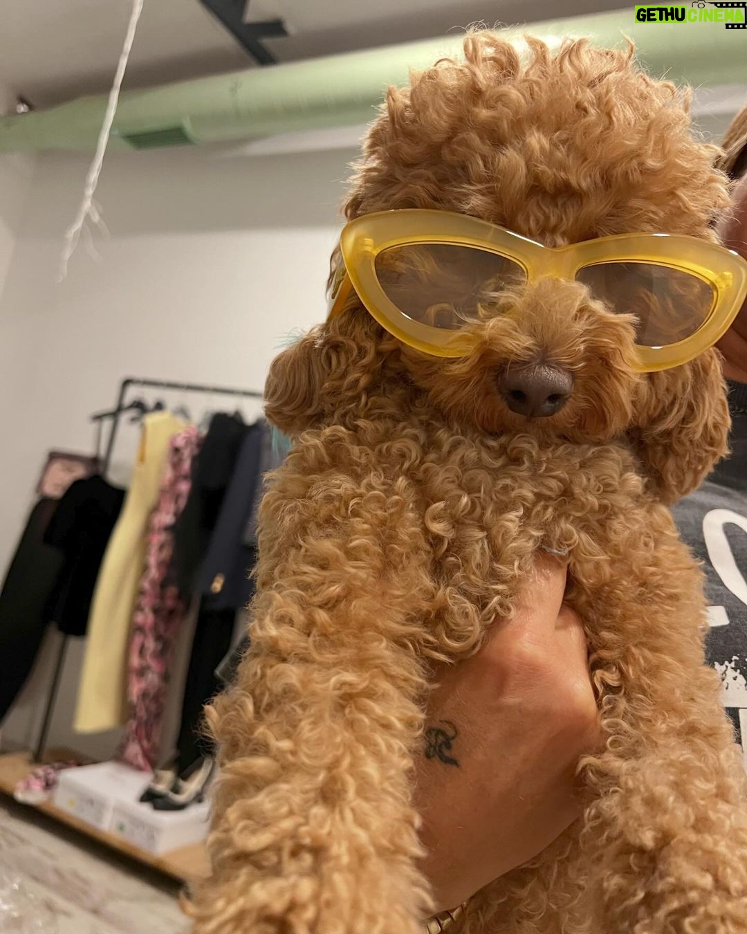 Afra Saraçoğlu Instagram - binbir Afito türlüsü
