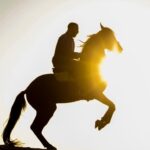 Ahmed El Sakka Instagram - #الحمدلله #احمد_السقا #الخيل #الخيل_العربية