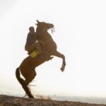 Ahmed El Sakka Instagram – صباح الفل
