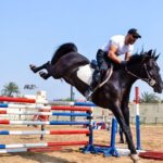 Ahmed El Sakka Instagram –