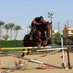 Ahmed El Sakka Instagram – 🐎