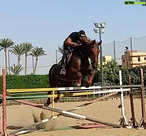 Ahmed El Sakka Instagram - 🐎