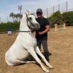 Ahmed El Sakka Instagram - وما الخَيْلُ إِلاَّ كالصَّدِيْقِ قَلِيْلَةٌ ... وإِنْ كَثُرَتْ في عَيْنِ مَنْ لا يُجَرَّبُ إِذا لم تُشَاهِدْ غَيْرَ حُسْنِ شِيَاتِها ... وأَعْضَائِها فالحُسْنُ عَنْكَ مُغَيَّبُ #المتنبى انا و صديقى الوفى همَّام.. ربنا يديم عليكم الصحبة الحلوة🙏🙏
