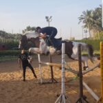 Ahmed El Sakka Instagram – حصانى العزيز شكرا😃😃😃😃..ما شاء الله