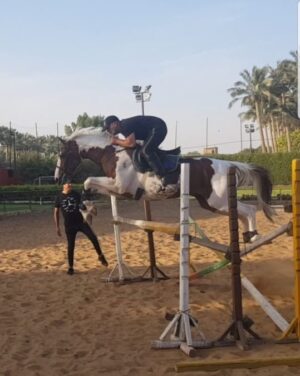 Ahmed El Sakka Instagram - حصانى العزيز شكرا😃😃😃😃..ما شاء الله