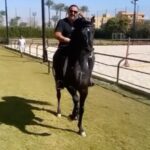 Ahmed El Sakka Instagram - #الغزالة_رايقة