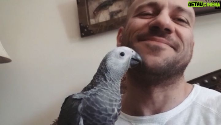 Ahmed Mekky - 146.1K Likes - زينهم بيصبح ... جمعه مباركه
#ahmedmekky #elkebeer #pets #birdsofinstagram #birds #freedom #positivity #positivevibes #friendship #friends #bond #nature #parrots #parrotsofinstagram
#احمدمكي #طاقه_ايجابيه #صباح_الخير #جمعه_مباركه