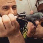 Ahmed Mekky Instagram - صباح الحب والرزق .... #ahmedmekky #elkebeer #sugarglider #pets #animals #bestfriend #nature #egypt #handfeeding #motherhood #positivevibes #positivity #smile #goodmorning