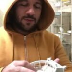 Ahmed Mekky Instagram - صباح التفاٶل ... اول انتاج الکناری السنه دی ... ربنا یبارک #AhmedMekky #elkebeer #canary #الکناری # #nest #الکناری_الکویت_البحرین_القطر #الکنار #birdsofinstagram #birds #singingbirds #pets #hobbies #peace #smile #goodmorning