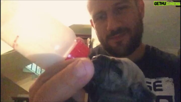 Ahmed Mekky - 57.7K Likes - 🍼🍼🍼😍😍😍 #AhmedMekky #elkebeer #hobbies #pets #puppiesofinstagram #puppy #handfeeding #mastiff #bandog #workingdog #morning #smile #fun #egypt #motherhood #fatherhood #mercy