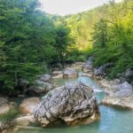 Ahmet Kürşat Öçalan Instagram – #ılıcaşelalesi #pınarbaşı #kastamonu