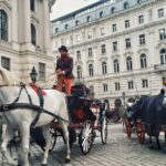 Ahmet Kürşat Öçalan Instagram – #horses in #vienna #beautifuldestinations  #wien