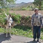 Ahmet Uğur Say Instagram -