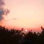 Ahn Cheol-soo Instagram - 1월 1일 새벽에 판교 마당바위에서 천여분의 주민들과 함께 일출을 보며 소원을 빌었습니다. 마당바위까지 30분 정도 산길을 올라가야했지만 미리 나와 계신 자원봉사자분들의 산길 정비와 안내 덕분에 큰 부상자 없이 많은 사람들이 새해 첫 일출을 함께 할 수 있었습니다. 공동체의 의미를 다시 한번 되새길 수 있었습니다. 청룡의 해를 맞아 기운찬 한해 되시기를 바랍니다. 판교원마을 뒷산 마당바위