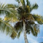 Ahn Dong-gu Instagram - 🇵🇭🏝️